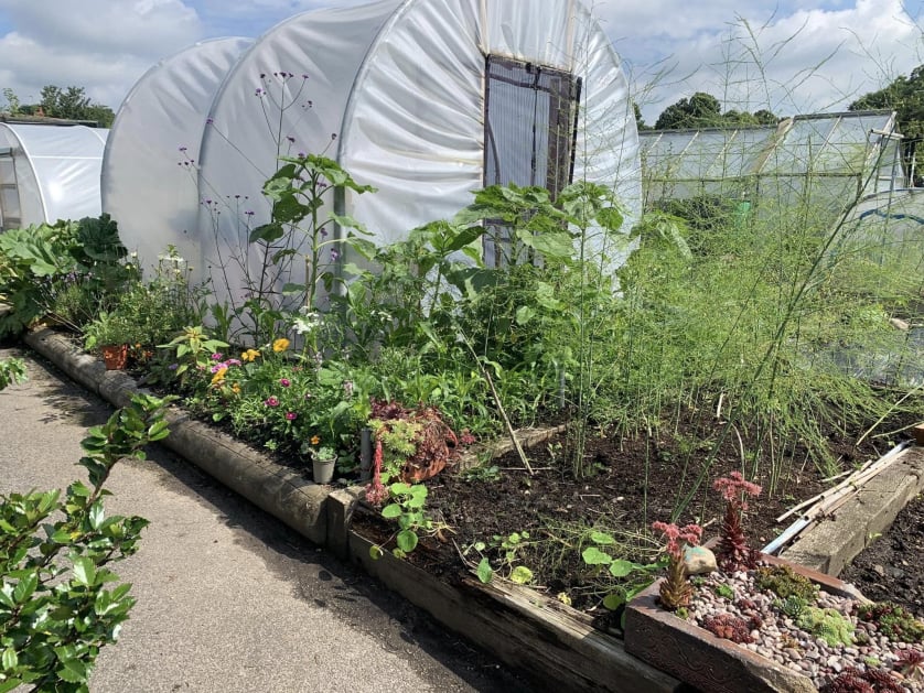 Croft Community Garden